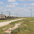 E1351 near Khouribga.