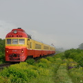 La D1-770 près de Ciuluc.