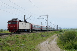 La Classe 41-0929 près d'Adjud.