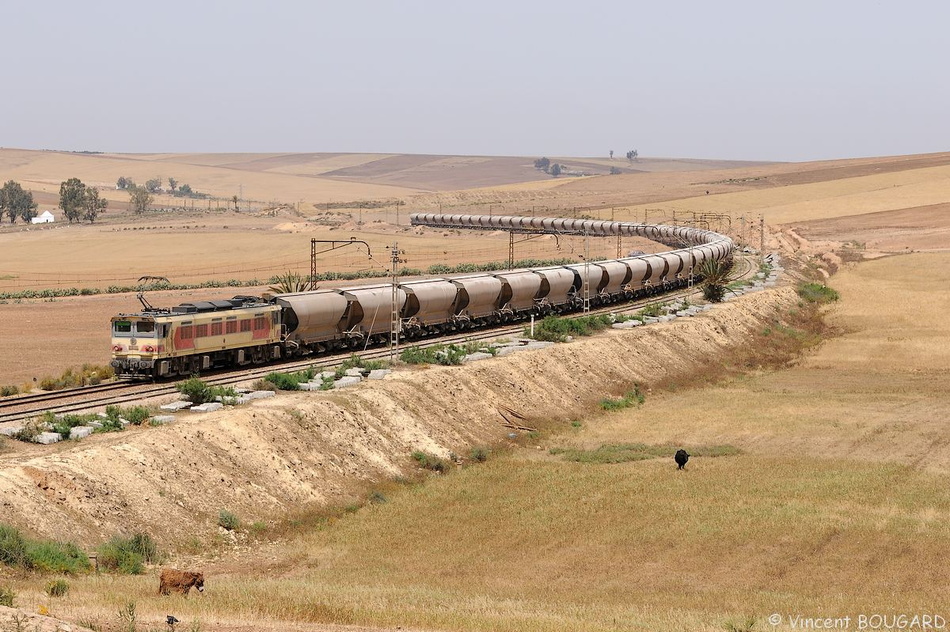 An E1100 near Moualin el Oued.