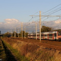 La Z8886 près de Morigny-Champigny.