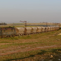 La BB36008 près de Sidi Hajjaj.