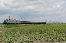 Class 189-0701 and Class 60-0169 near Mizil.