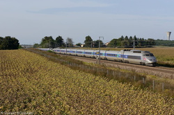 TGV Sud-Est 35 near Civrieux.
