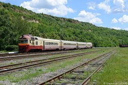 D1-700 at Mateuţi station.